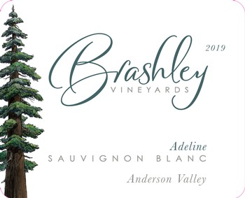 2019 CASE Adeline Sauv Blanc